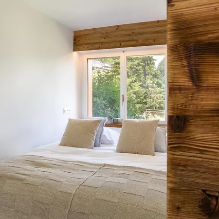 アパート Ski-in Luxury In Center